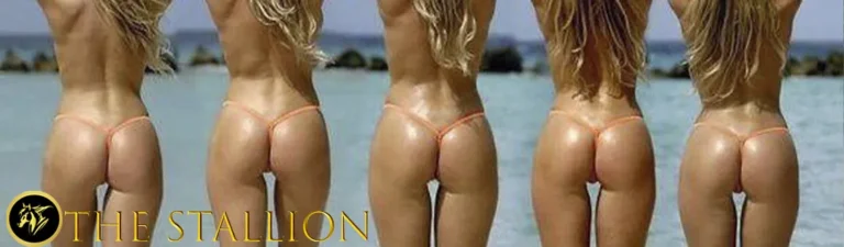 The Stallion With Horny Saint
